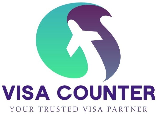 Visa Counter Logo
